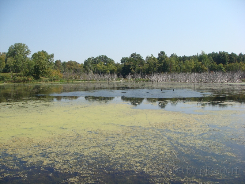 Western Michigan [2009] 372.JPG - Scenes from Frederik Meijer Gardens & Sculpture Park.